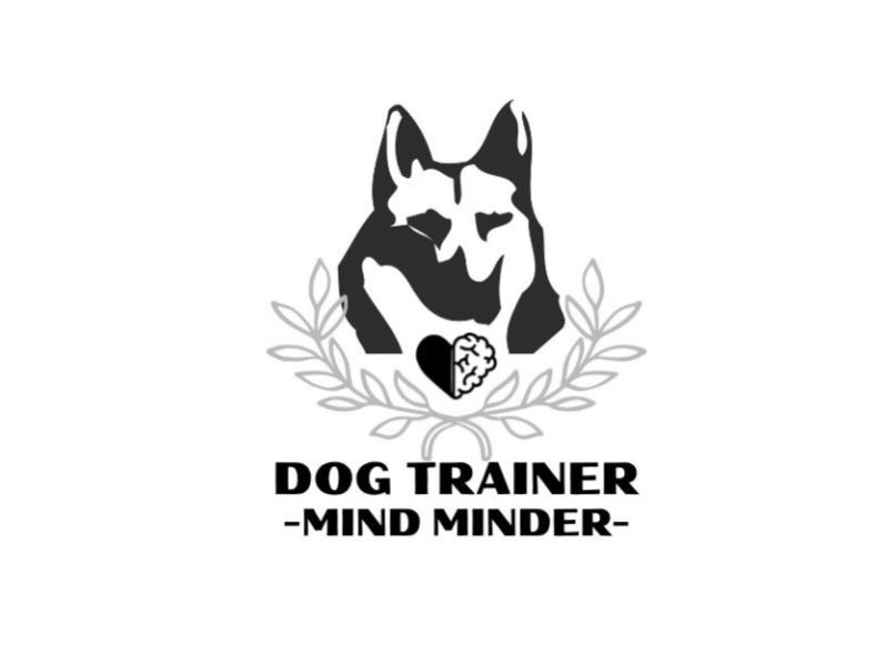 dog trainer mind minder silver level