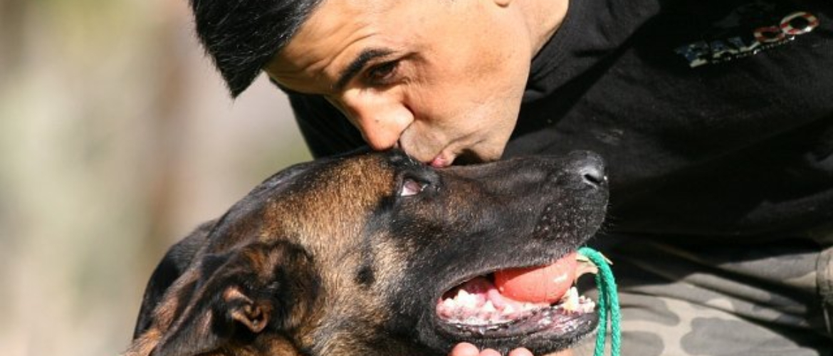 best dog training academy in orange county ca aldo cecchi