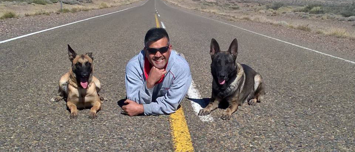 best dog training academy in orange county ca aldo cecchi