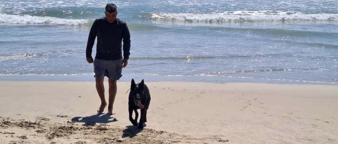 best dog training academy in orange county ca aldo cecchi