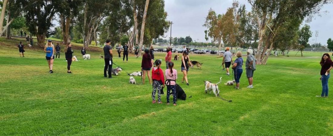 best dog training orange county ca