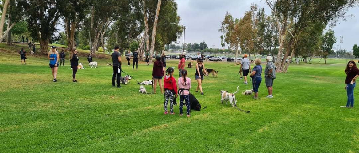 best dog training orange county ca