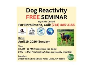 dog reactivity free seminar