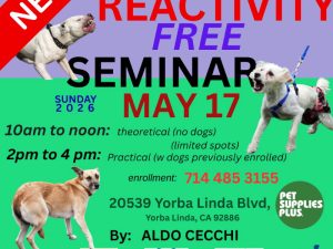 dog reactivity seminar