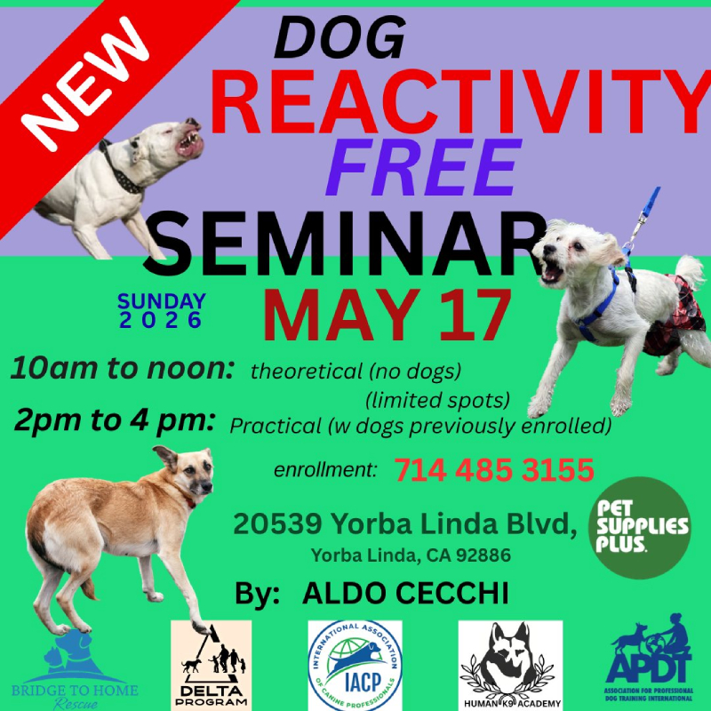 dog reactivity seminar