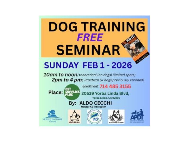 free seminars