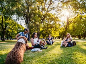 group classes master dog trainer academy orange county ca