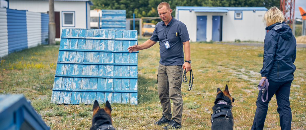 how to become a professional dog trainer