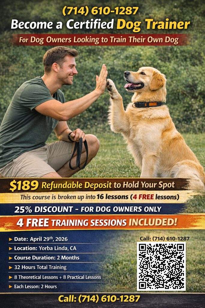 dog trainer class owner